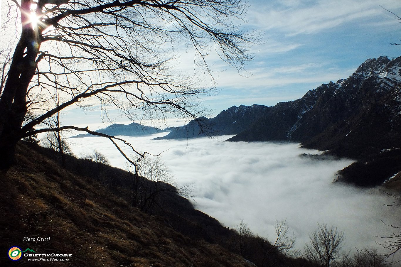 17 la nebbia non molla....JPG